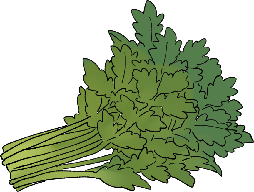 春菊の栽培方法