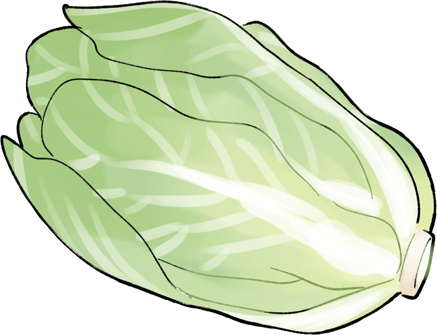 白菜の栽培方法