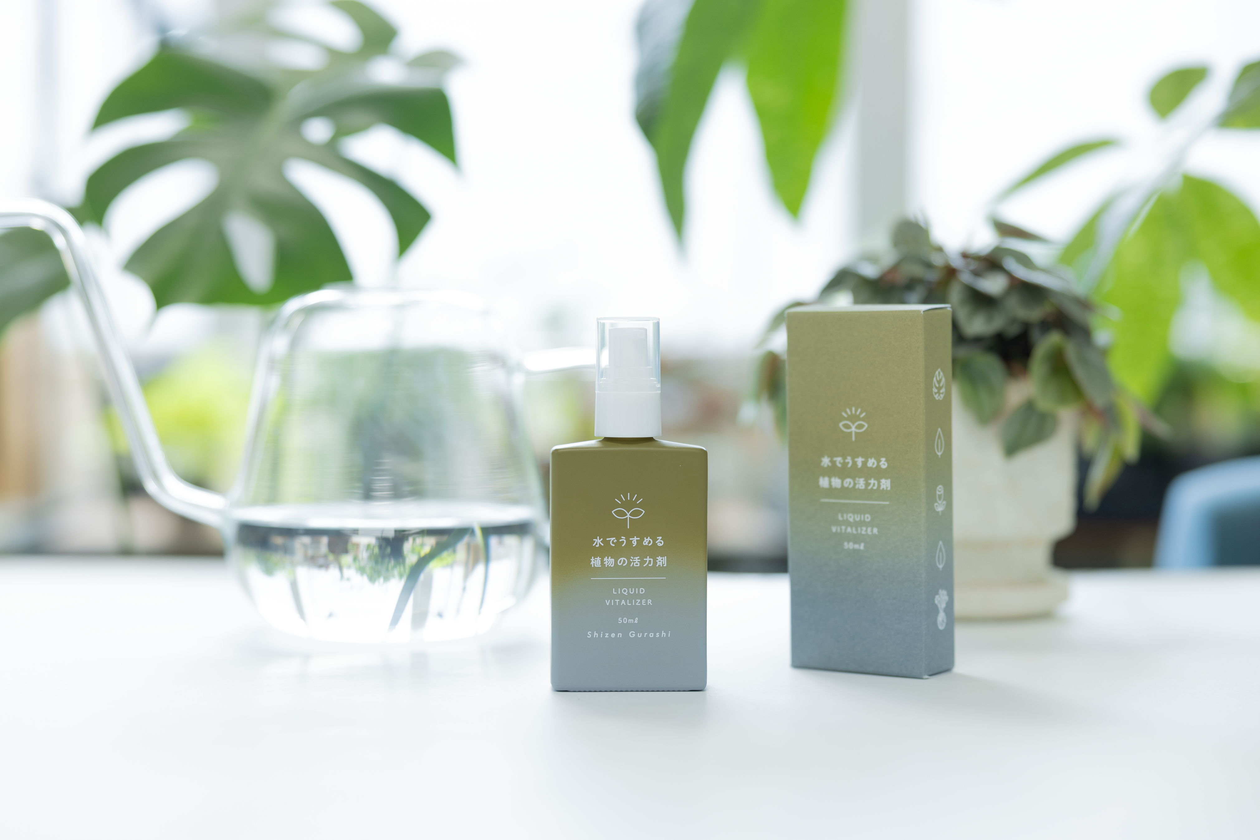 植物に鉄はなぜ必要？吸収しやすい「二価鉄」と活力剤の上手な使い方