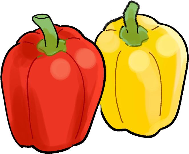 パプリカの栽培方法