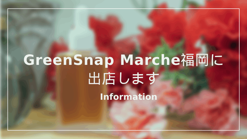 GreenSnap Marche福岡に出店します