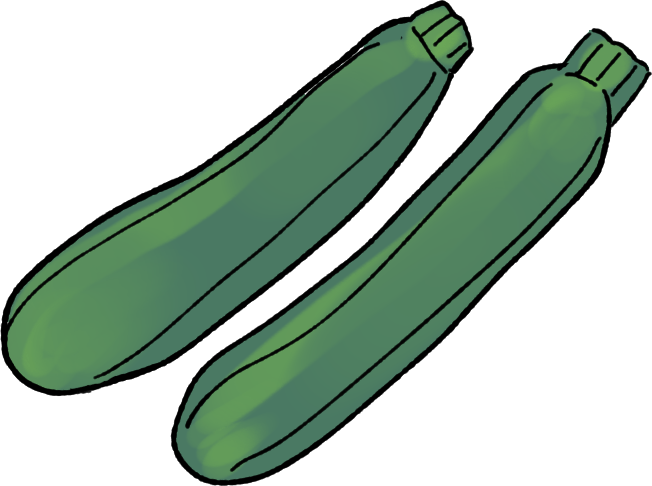 ズッキーニの栽培方法