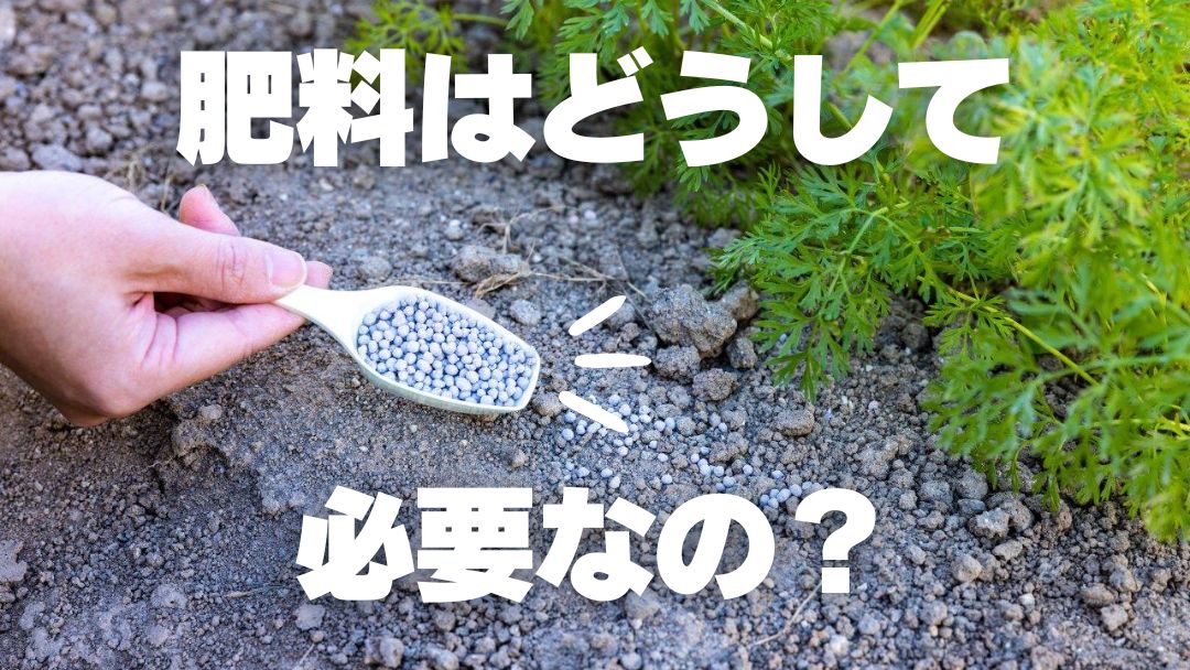 「肥料」はどうして必要なの？