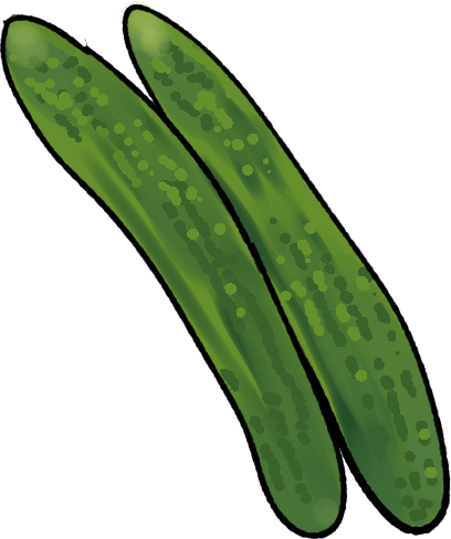 キュウリの育て方｜プランター栽培、肥料の与え方も解説