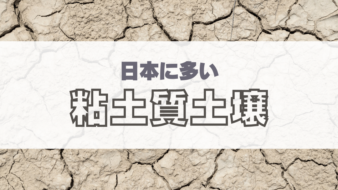 粘土質土壌と土壌改良