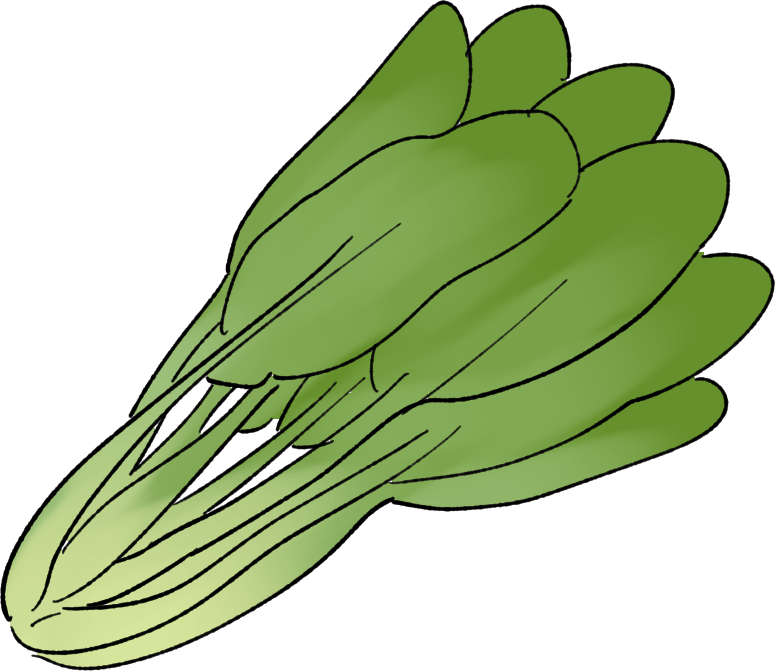 小松菜（コマツナ）の育て方｜プランター栽培、肥料の与え方も解説