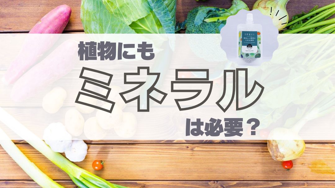 植物にもミネラルは必要？