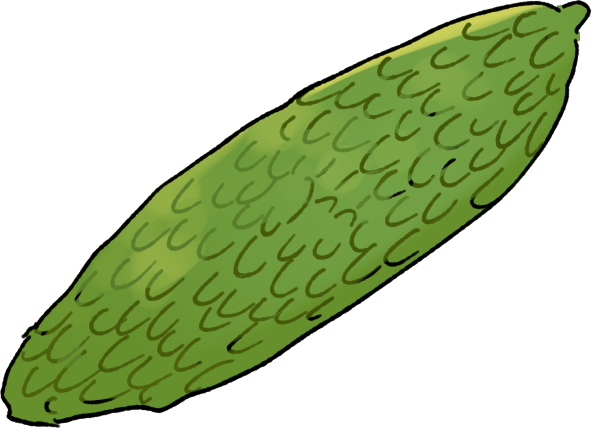 ゴーヤの栽培方法