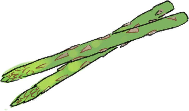 アスパラガスの栽培方法