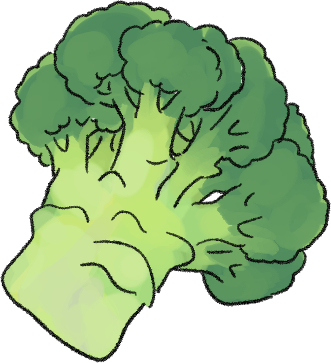 ブロッコリーの育て方｜プランター栽培、肥料の与え方も解説