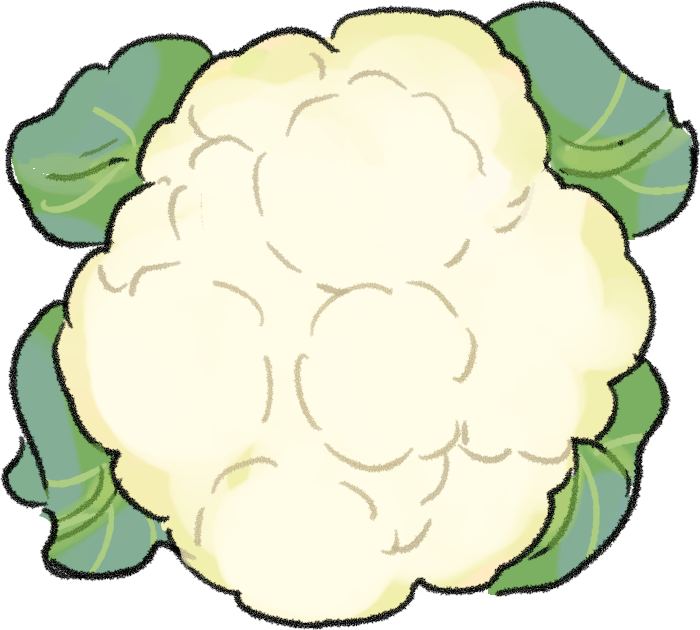 カリフラワーの栽培方法