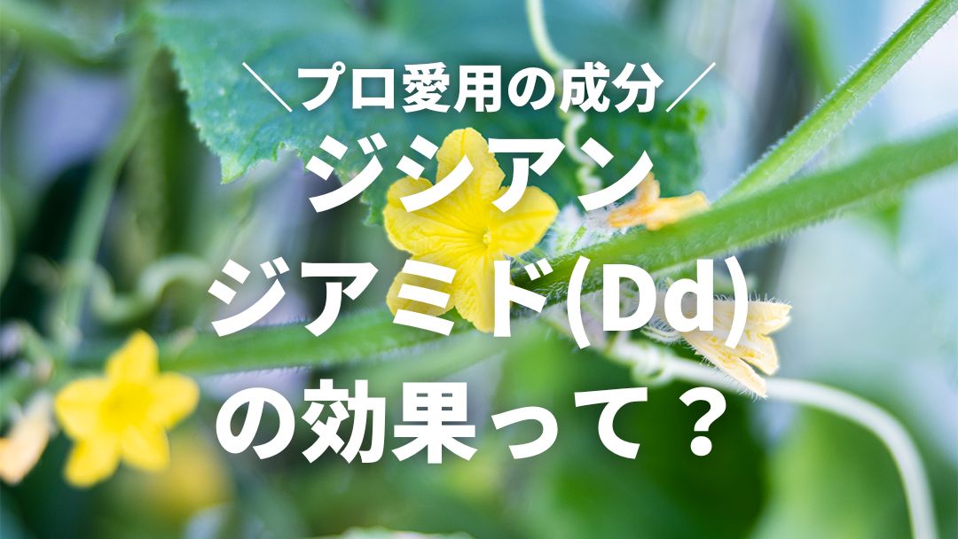 ジシアンジアミドの効果って？