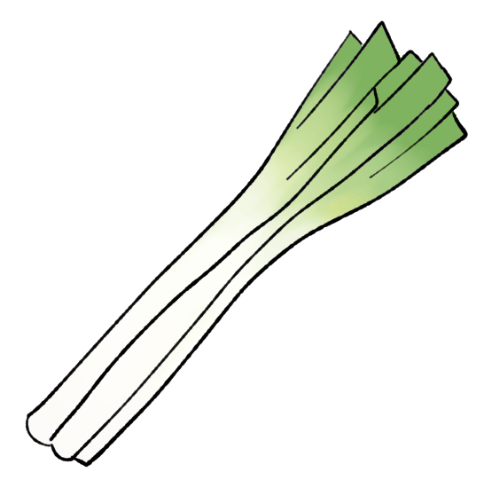 白ネギの育て方｜肥料の与え方も解説