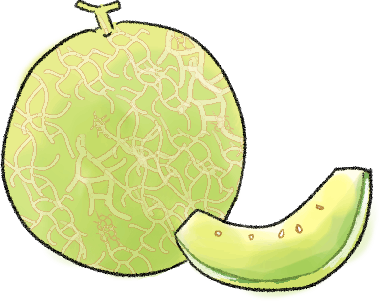 メロンの栽培方法