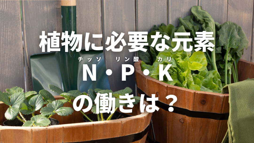 必須多量要素、肥料三元素の働き