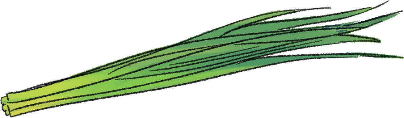 ニラの栽培方法