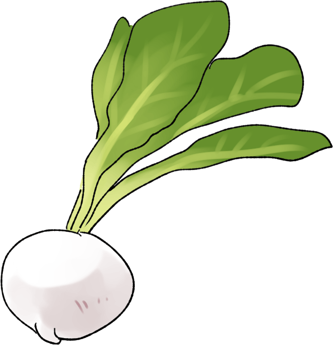 カブの栽培方法