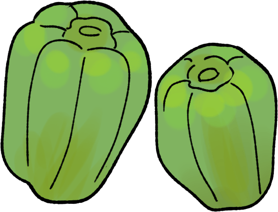 ピーマンの育て方｜プランター栽培、肥料の与え方も解説