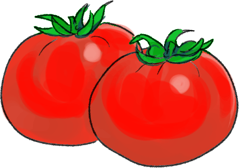 トマトの栽培方法