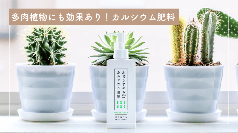 多肉植物にも効果あり！カルシウム肥料
