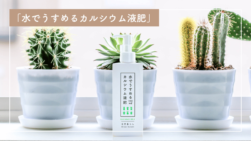 「水でうすめるカルシウム液肥」で病気に強く、頑丈に