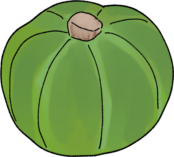 カボチャの栽培方法