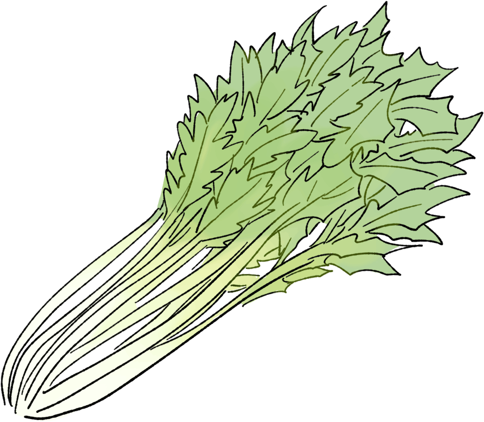 ミズナの栽培方法