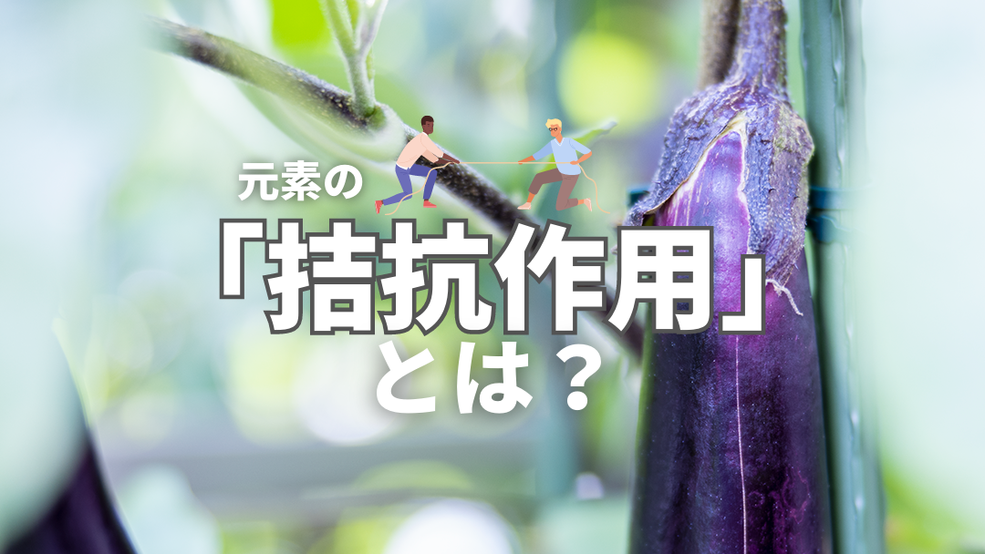 拮抗作用とは？