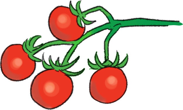 ミニトマトの育て方｜プランター栽培の方法も詳しく解説