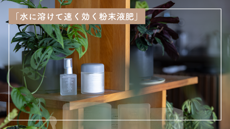 植物に与える"美容液"「水に溶かして速く効く粉末液肥」