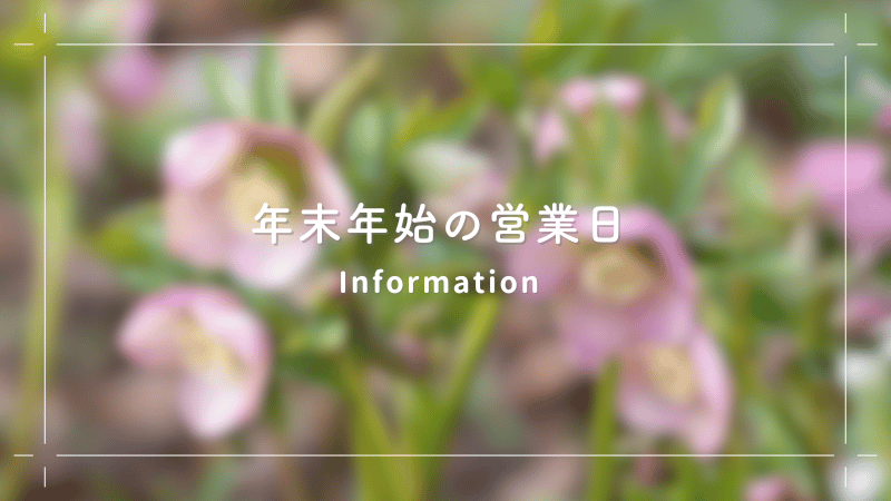 年末年始の営業日のお知らせ