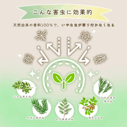 植物のためのアロマ虫ケア