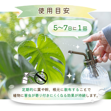 植物のためのアロマ虫ケア