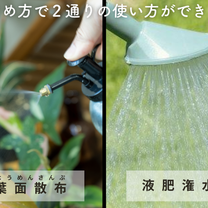 水でうすめてミストする液肥