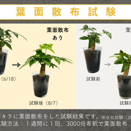 水でうすめてミストする有機入り液肥