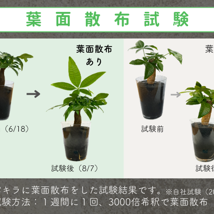 水でうすめてミストするサプリ