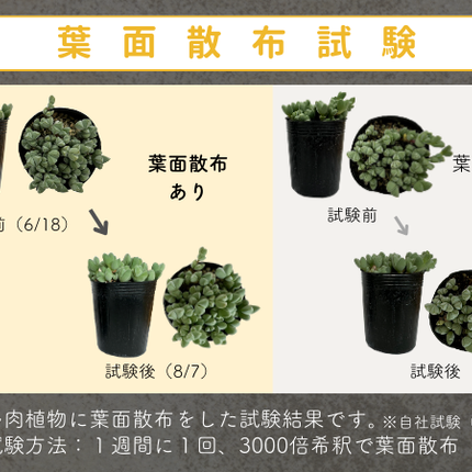 水でうすめてミストする有機入り液肥