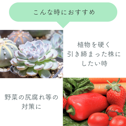 水でうすめるカルシウム液肥
