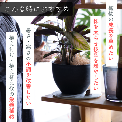 水に溶かして速く効く粉末液肥