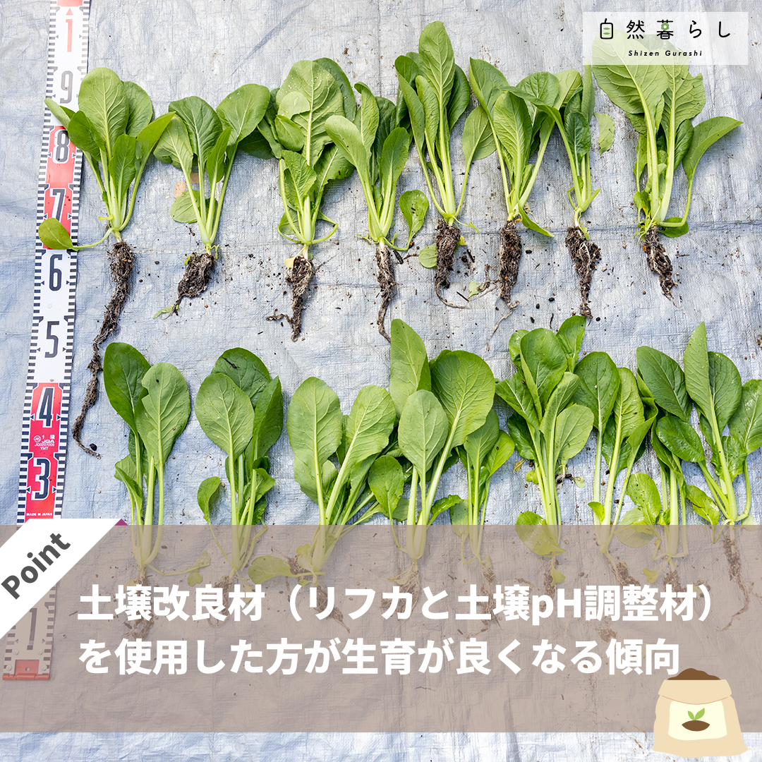 【自然暮らし】土壌改良材セット 腐植資材リフカ 土壌調整材セット (660 g)