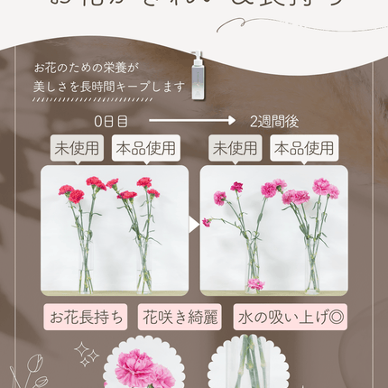 プッシュで簡単 切り花の栄養剤