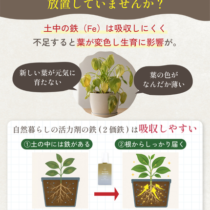 水でうすめる植物の活力剤