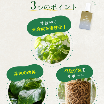 水でうすめる植物の活力剤