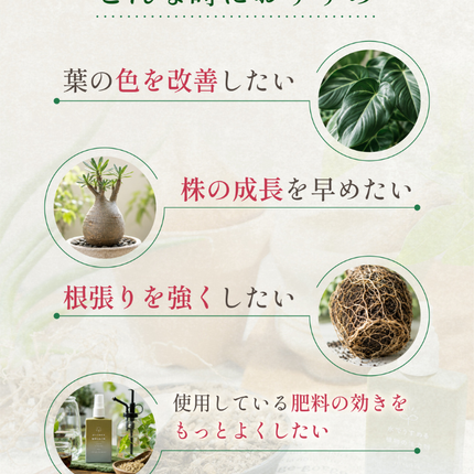 水でうすめる植物の活力剤